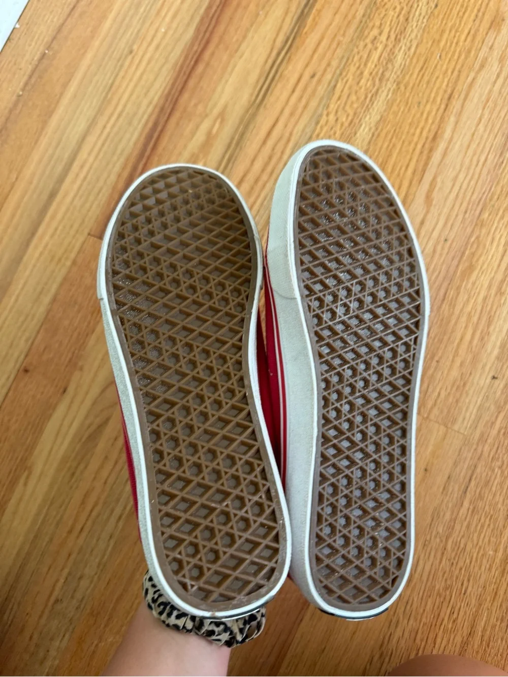 True Religion Men's Red Canvas Sneakers with White Laces